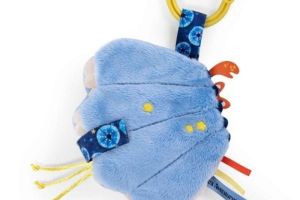 Concha de actividades Paulie