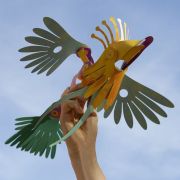 Clixo Tropical Birds