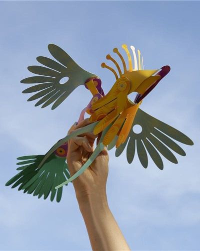 Clixo Tropical Birds