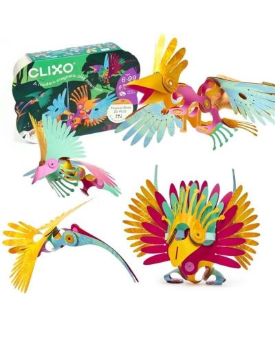 Clixo Tropical Birds